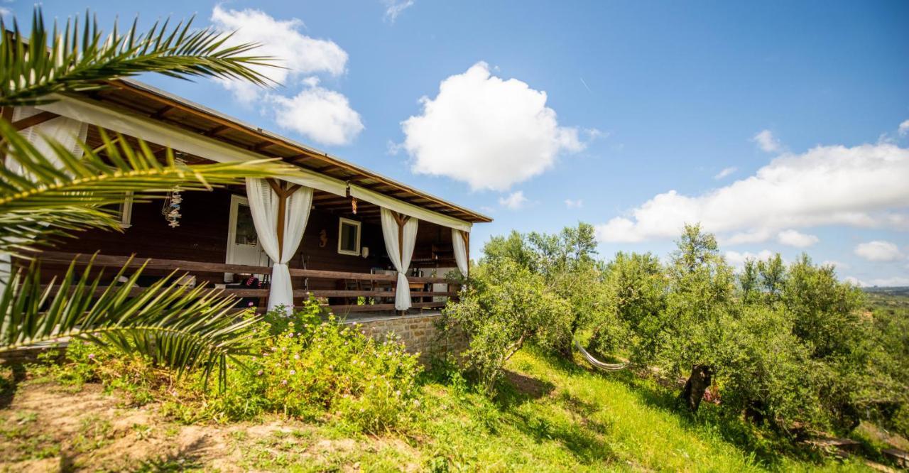 Hakuna Matata Holidays Wooden Lodge With Airco & Pool In Greek Olive Grove Methoni  Exteriér fotografie