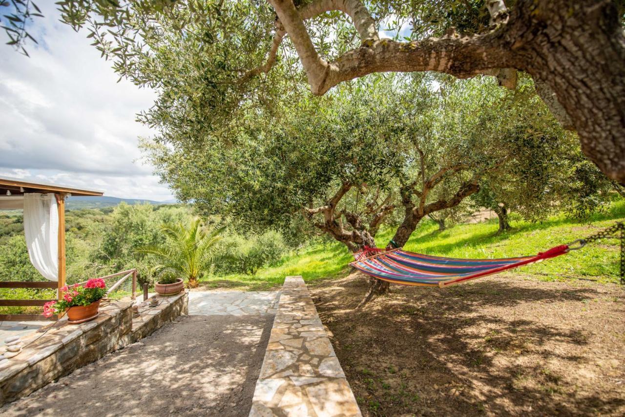 Hakuna Matata Holidays Wooden Lodge With Airco & Pool In Greek Olive Grove Methoni  Exteriér fotografie