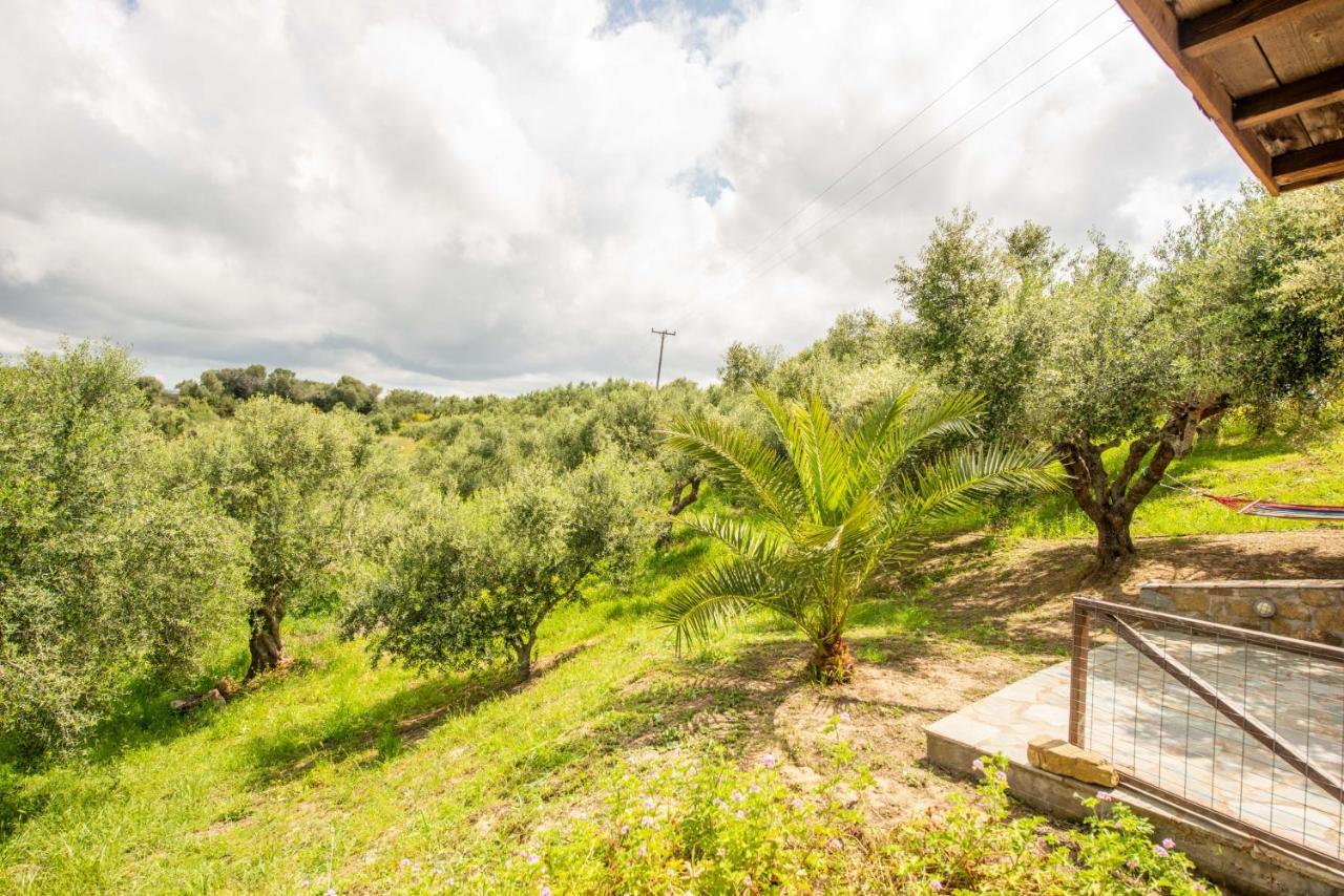 Hakuna Matata Holidays Wooden Lodge With Airco & Pool In Greek Olive Grove Methoni  Exteriér fotografie