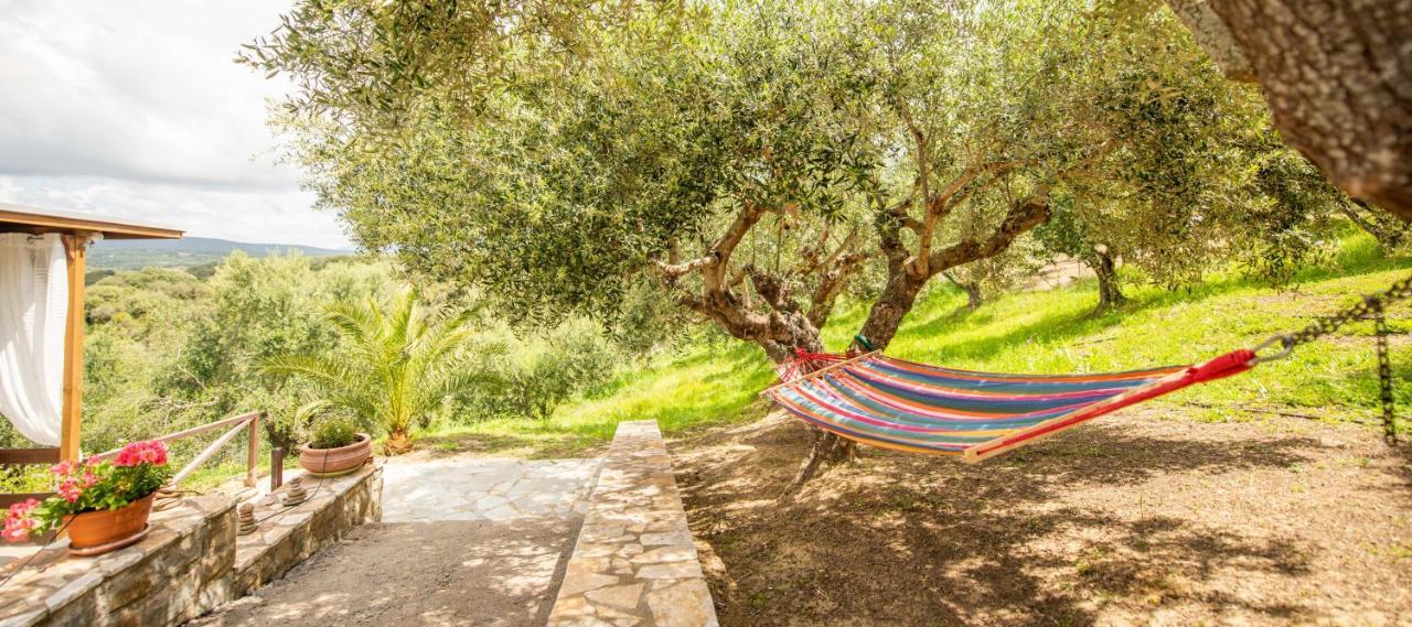 Hakuna Matata Holidays Wooden Lodge With Airco & Pool In Greek Olive Grove Methoni  Exteriér fotografie