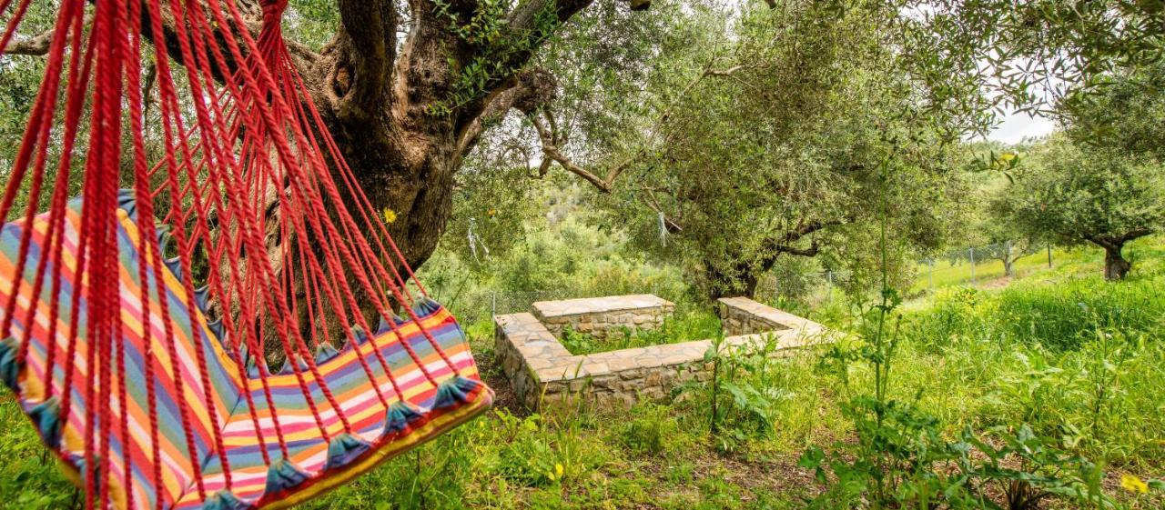 Hakuna Matata Holidays Wooden Lodge With Airco & Pool In Greek Olive Grove Methoni  Exteriér fotografie